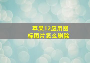 苹果12应用图标图片怎么删除