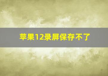 苹果12录屏保存不了