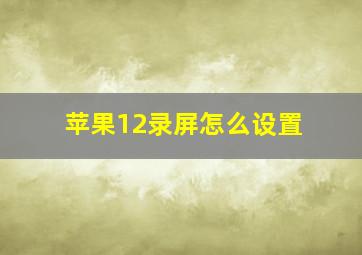 苹果12录屏怎么设置