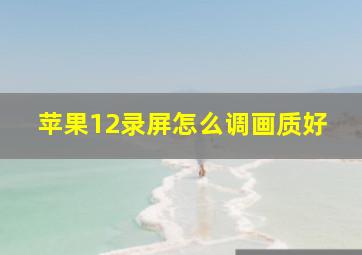 苹果12录屏怎么调画质好