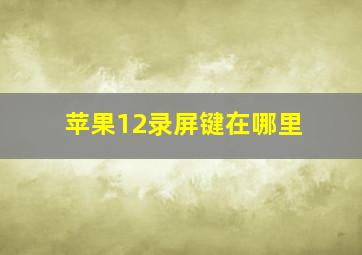 苹果12录屏键在哪里