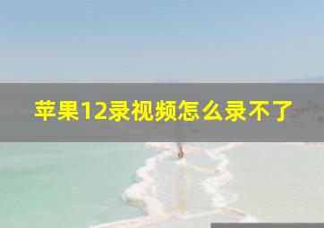 苹果12录视频怎么录不了