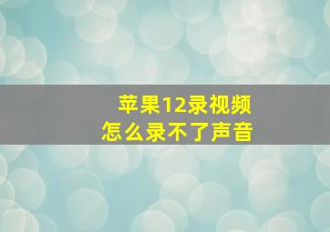 苹果12录视频怎么录不了声音