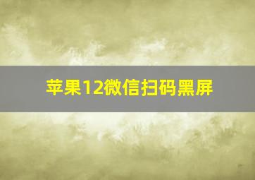 苹果12微信扫码黑屏