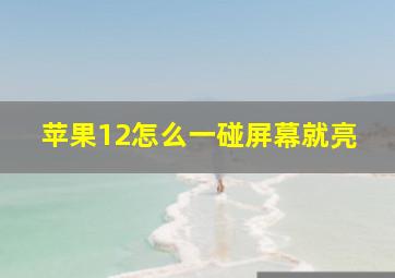 苹果12怎么一碰屏幕就亮