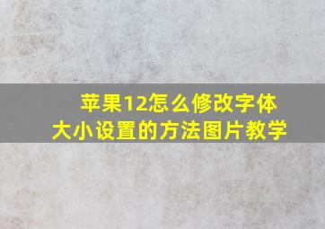 苹果12怎么修改字体大小设置的方法图片教学