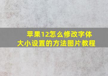 苹果12怎么修改字体大小设置的方法图片教程