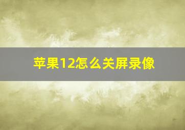 苹果12怎么关屏录像