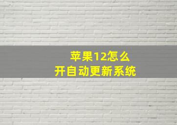 苹果12怎么开自动更新系统