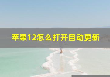 苹果12怎么打开自动更新