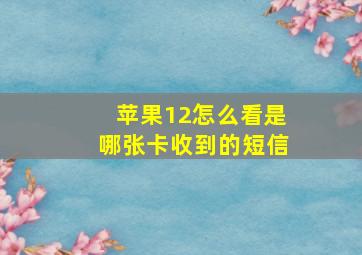 苹果12怎么看是哪张卡收到的短信