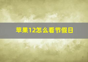 苹果12怎么看节假日