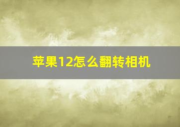 苹果12怎么翻转相机