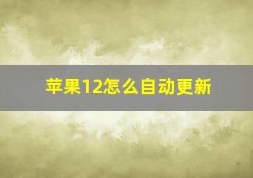 苹果12怎么自动更新