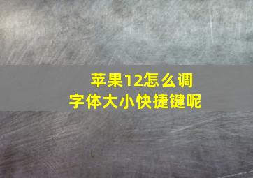 苹果12怎么调字体大小快捷键呢