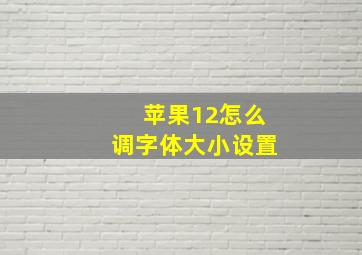 苹果12怎么调字体大小设置