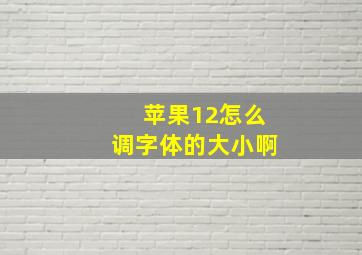 苹果12怎么调字体的大小啊