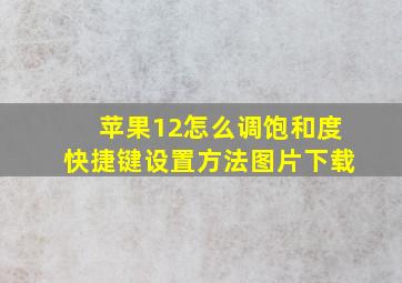 苹果12怎么调饱和度快捷键设置方法图片下载