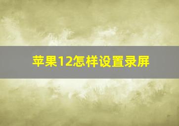 苹果12怎样设置录屏