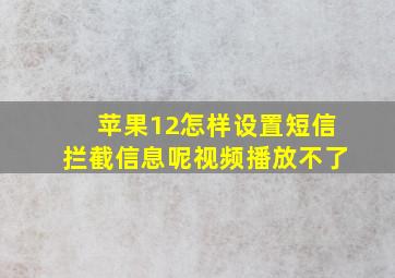 苹果12怎样设置短信拦截信息呢视频播放不了