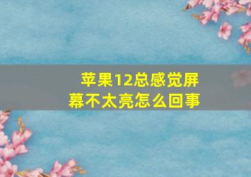 苹果12总感觉屏幕不太亮怎么回事