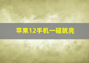 苹果12手机一碰就亮