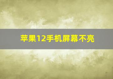 苹果12手机屏幕不亮