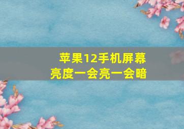 苹果12手机屏幕亮度一会亮一会暗