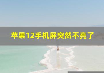 苹果12手机屏突然不亮了