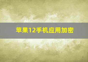 苹果12手机应用加密