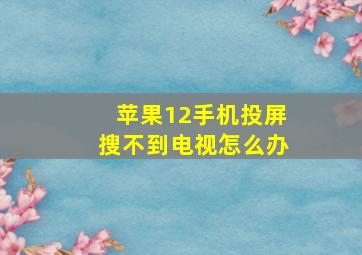 苹果12手机投屏搜不到电视怎么办