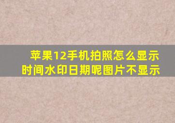 苹果12手机拍照怎么显示时间水印日期呢图片不显示