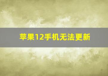 苹果12手机无法更新