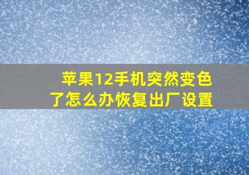 苹果12手机突然变色了怎么办恢复出厂设置