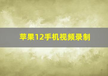 苹果12手机视频录制