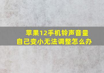 苹果12手机铃声音量自己变小无法调整怎么办