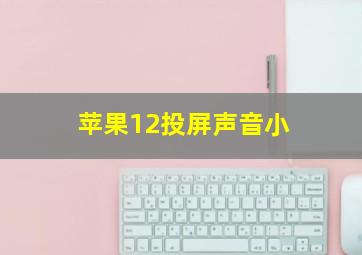 苹果12投屏声音小