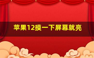 苹果12摸一下屏幕就亮