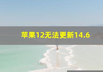 苹果12无法更新14.6