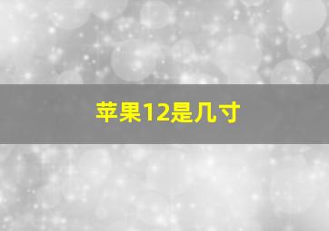 苹果12是几寸