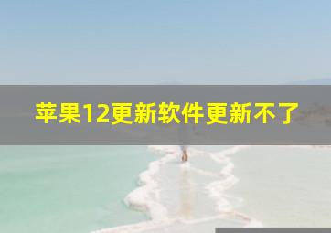 苹果12更新软件更新不了