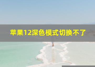 苹果12深色模式切换不了