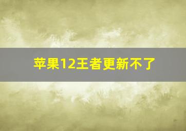 苹果12王者更新不了