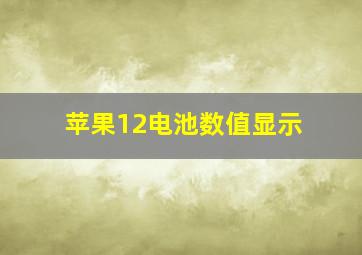 苹果12电池数值显示