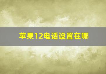 苹果12电话设置在哪