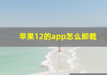 苹果12的app怎么卸载