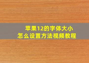 苹果12的字体大小怎么设置方法视频教程