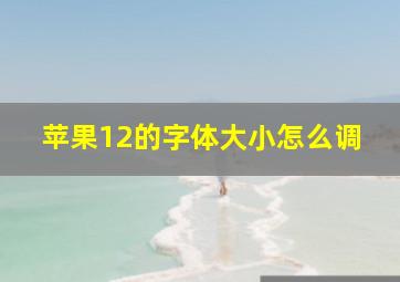 苹果12的字体大小怎么调