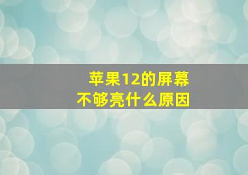 苹果12的屏幕不够亮什么原因