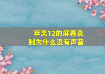 苹果12的屏幕录制为什么没有声音